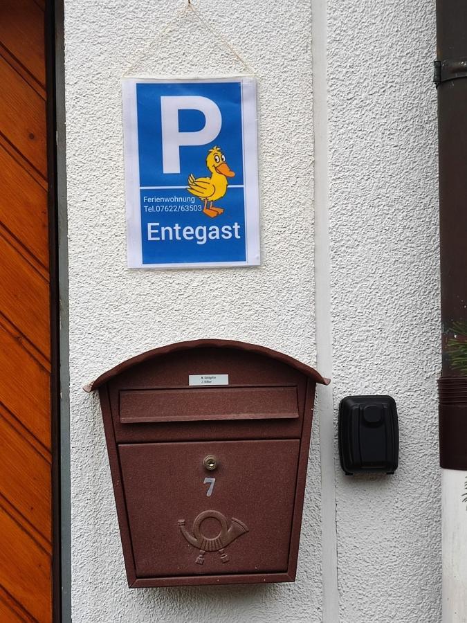 Apartment Entegast ショップハイム エクステリア 写真